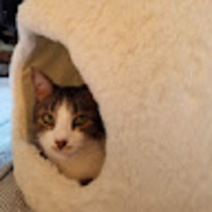 Meet your Posher, Mia